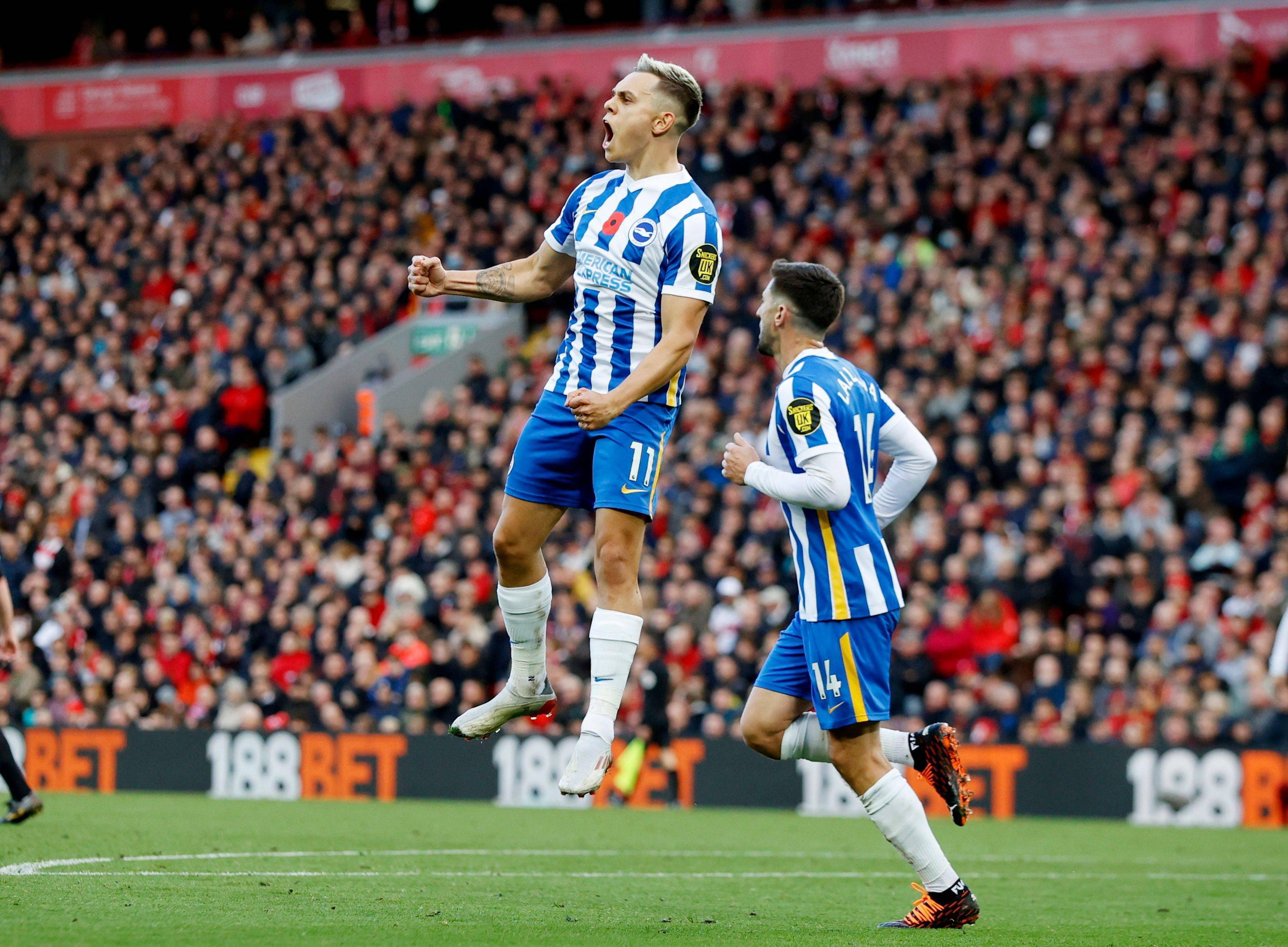 他的到来 他的到来